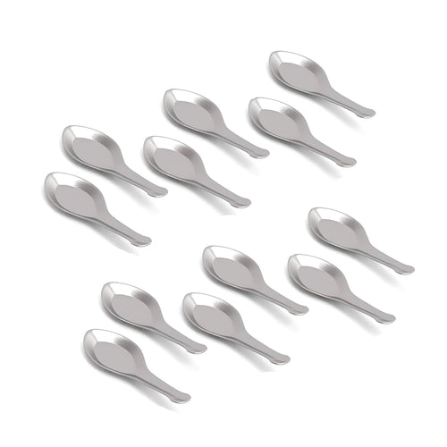 Stainless Steel Masala Spoons | Set of 12 | Spoon for Masala Dabba
