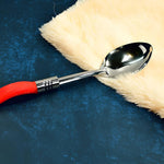 Stainless Steel Serving Spoon with Plastic Handle | 1 pc